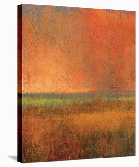 Changing Skies 2-Jeannie Sellmer-Stretched Canvas