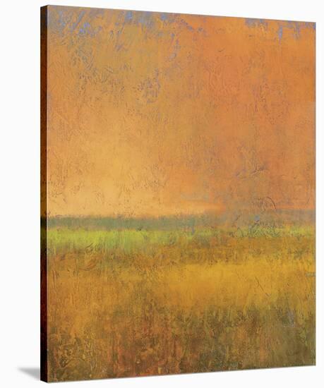 Changing Skies 2-Jeannie Sellmer-Stretched Canvas