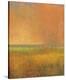 Changing Skies 2-Jeannie Sellmer-Stretched Canvas