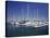 Channel Islands Marina, Oxnard, California, USA-null-Premier Image Canvas