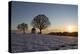 Chapel with Tree-Jurgen Ulmer-Premier Image Canvas