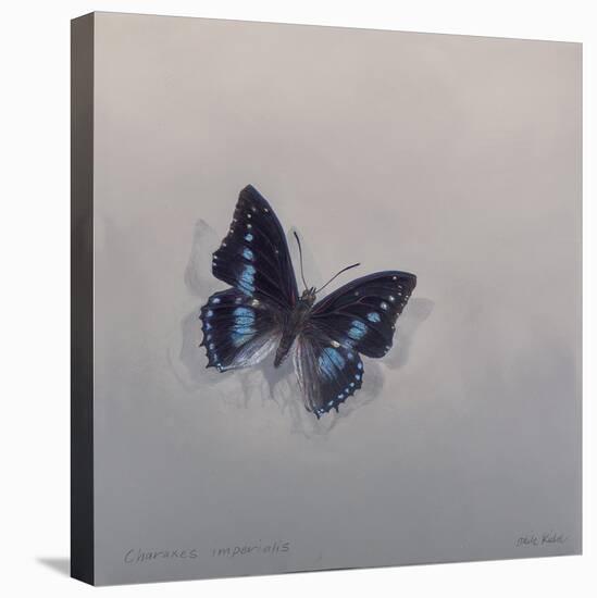 Charaxes imperialis 1, 2014-Odile Kidd-Premier Image Canvas