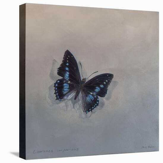 Charaxes imperialis 1, 2014-Odile Kidd-Premier Image Canvas