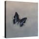 Charaxes imperialis 1, 2014-Odile Kidd-Premier Image Canvas