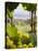 Chardonnay Grapes in the Knudsen Vineyard, Willamette Valley, Oregon, USA-Janis Miglavs-Premier Image Canvas