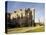 Charlecote Park, a Tudor Mansion, Warwickshire, Midlands, England, United Kingdom-David Hughes-Premier Image Canvas