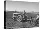 Charles C. Todd and Boyd Green Using the Tractor on the Country Farm-null-Premier Image Canvas