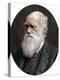 Charles Darwin, British Naturalist, 1878-Lock & Whitfield-Premier Image Canvas