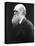 Charles Darwin, C.1870 (B/W Photo)-Julia Margaret Cameron-Premier Image Canvas