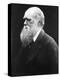 Charles Darwin, C.1870 (B/W Photo)-Julia Margaret Cameron-Premier Image Canvas