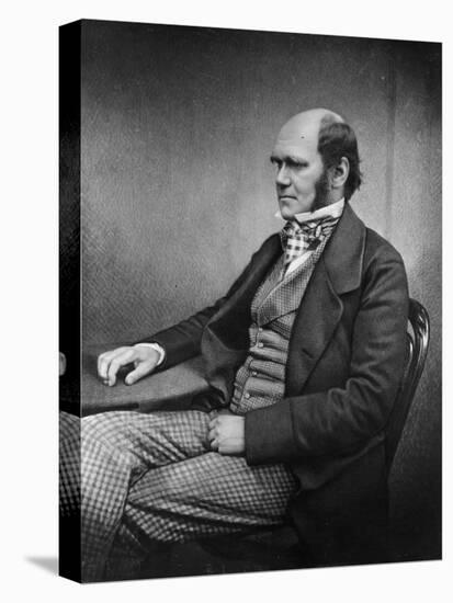 Charles Darwin (Engraving)-Maull & Fox-Premier Image Canvas