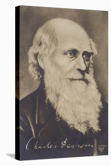 Charles Darwin-null-Premier Image Canvas