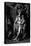 Charles Earl Bellamont-Sir Joshua Reynolds-Stretched Canvas