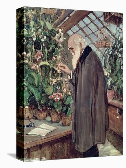 Charles Robert Darwin-John Collier-Premier Image Canvas