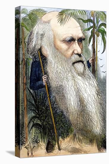 Charles Robert Darwin-Frederick Waddy-Premier Image Canvas