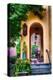 Charleston Charm VI-George Oze-Premier Image Canvas