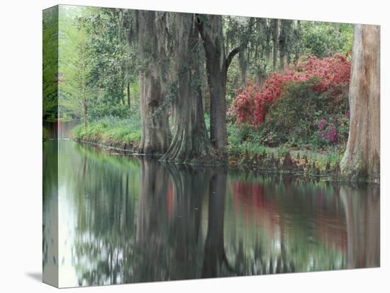 Charleston, South Carolina, USA-Adam Jones-Premier Image Canvas