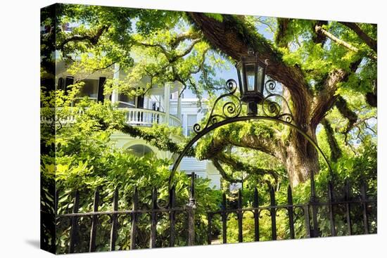 Charleston Villa Garden With Live Oak Tree-George Oze-Premier Image Canvas