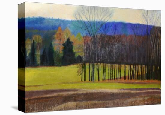 Charlevoix County-Cathe Hendrick-Stretched Canvas
