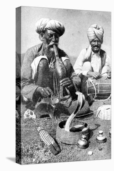 Charming the Venom from a Cobra; a Snake Charmer with a Mongoose, India, 1922-JH Reverend Powell-Premier Image Canvas