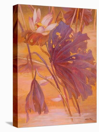 Charming-Ailian Price-Stretched Canvas