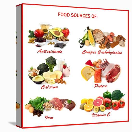 Chart Showing Food Sources of Various Nutrients-Robyn Mackenzie-Stretched Canvas
