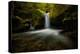 chasm-falls-1-Lincoln Harrison-Stretched Canvas