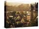 Chateau and Town, Langeais, Indre-Et-Loire, Loire Valley, Centre, France-David Hughes-Premier Image Canvas