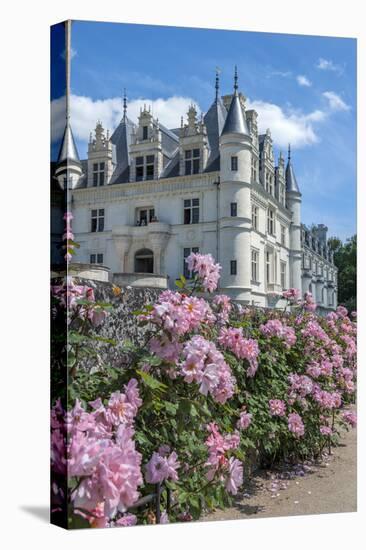 Chateau de Chenonceau, Chenonceaux, France-Lisa S. Engelbrecht-Premier Image Canvas