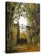 Chateau Gate-Dawne Polis-Stretched Canvas