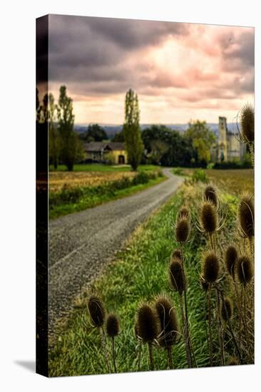 Chateau Tauzia Thistles-Colby Chester-Premier Image Canvas