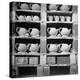 Cheap Chinaware Saucers, Cups, Teapots, Etc Standing on Racks in Pottery of the Hall China Co-Walker Evans-Premier Image Canvas