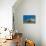Checkerboard Wrasse (Halichoeres Hortulanus)-Michael Nolan-Premier Image Canvas displayed on a wall