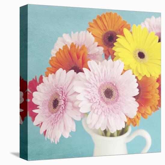 Cheerful Daisies-Susannah Tucker-Stretched Canvas