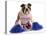 Cheerful Dog - English Bulldog Dressed Up Like A Cheerleader With Pompoms-Willee Cole-Premier Image Canvas