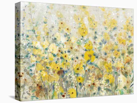 Cheerful Garden II-Tim O'toole-Stretched Canvas