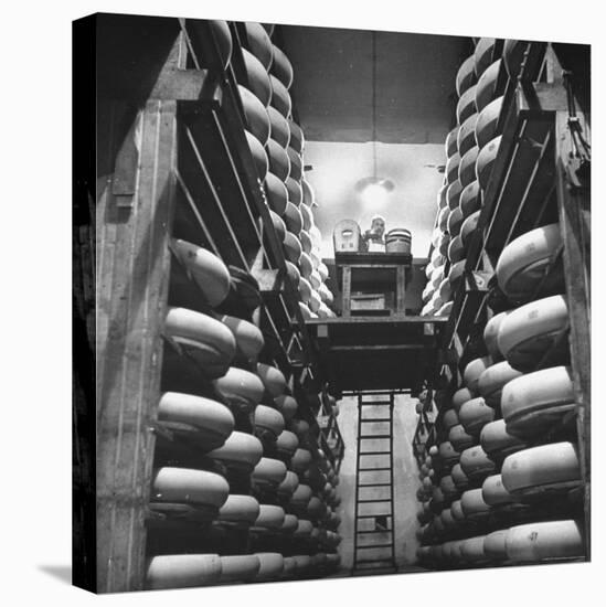 Cheeses Being Washed at Cheese Factory-William Vandivert-Premier Image Canvas