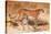 Cheetah, 1851-52-Joseph Wolf-Premier Image Canvas