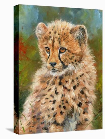 Cheetah Cub 3-David Stribbling-Stretched Canvas