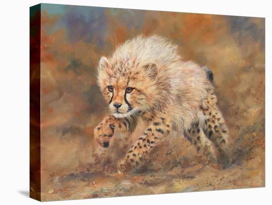 cheetah dust final-David Stribbling-Stretched Canvas