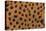 Cheetah Fur-DLILLC-Premier Image Canvas