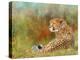 Cheetah Grass-David Stribbling-Stretched Canvas