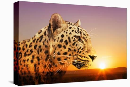 Cheetah, Masai Mara, Kenya, East Africa, Africa-Angelo Cavalli-Premier Image Canvas