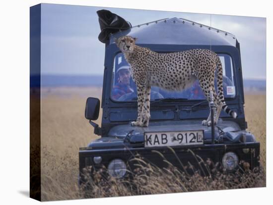 Cheetah on Hood of Safari Truck, Masai Mara Game Reserve, Kenya-Paul Souders-Premier Image Canvas