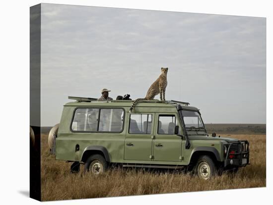 Cheetah on Safari Vehicle, Masai Mara National Reserve, Kenya, East Africa-James Hager-Premier Image Canvas
