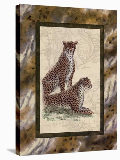 Cheetah's-Janet Kruskamp-Stretched Canvas