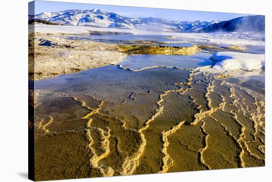 Chemical Sediments. Yellowstone National Park, Wyoming.-Tom Norring-Premier Image Canvas