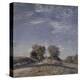 Chemin montant au soleil-Alfred Sisley-Premier Image Canvas