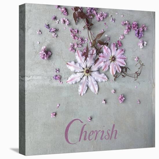 Cherish-Sarah Gardner-Stretched Canvas