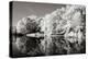 Cherokee Lake I-Alan Hausenflock-Premier Image Canvas